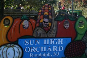 Sun High Orchard