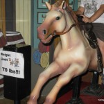 Unlimited horsie rides-  no quarters necessary