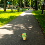 Pokemon Grover Cleveland Park