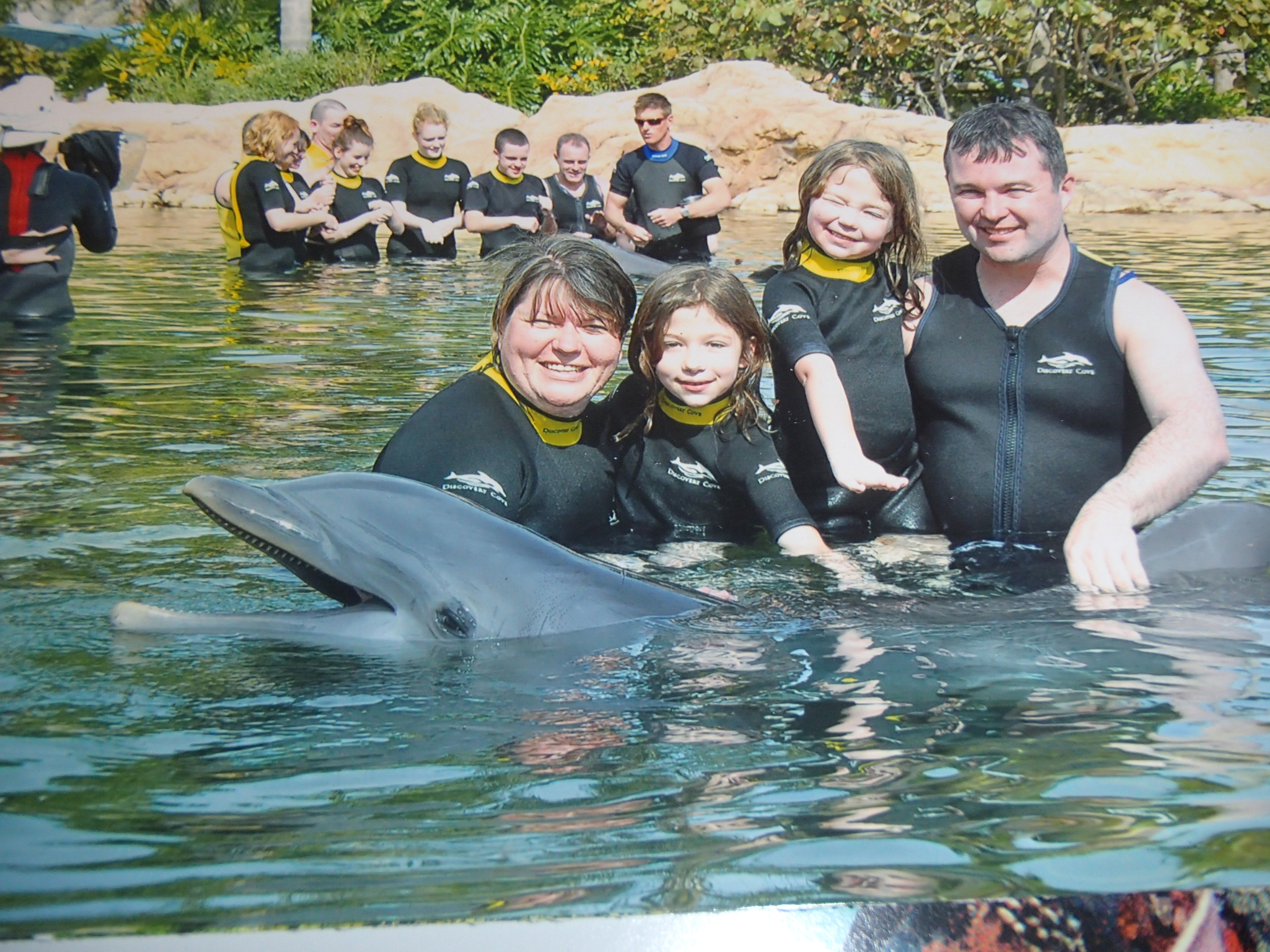 Swimming with Dolphins Family Picture