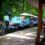 Shady and Refreshing Train Ride