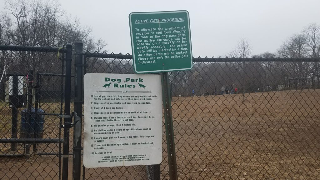 Dog Park Rules- Echo Lake, Mountainside NJ