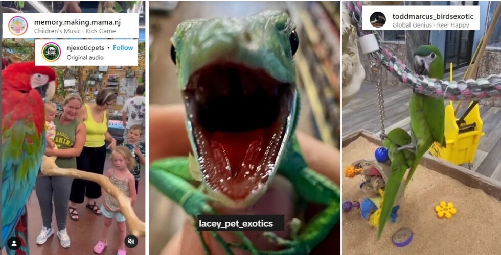 3 NJ Exotic Pet Stores to Check Out! Your complete guide to NJ Playgrounds