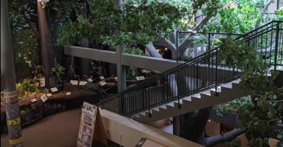 Trailside Nature and Science Center, Watchung Reservation, Mountainside