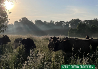 Cherry Grove Farm